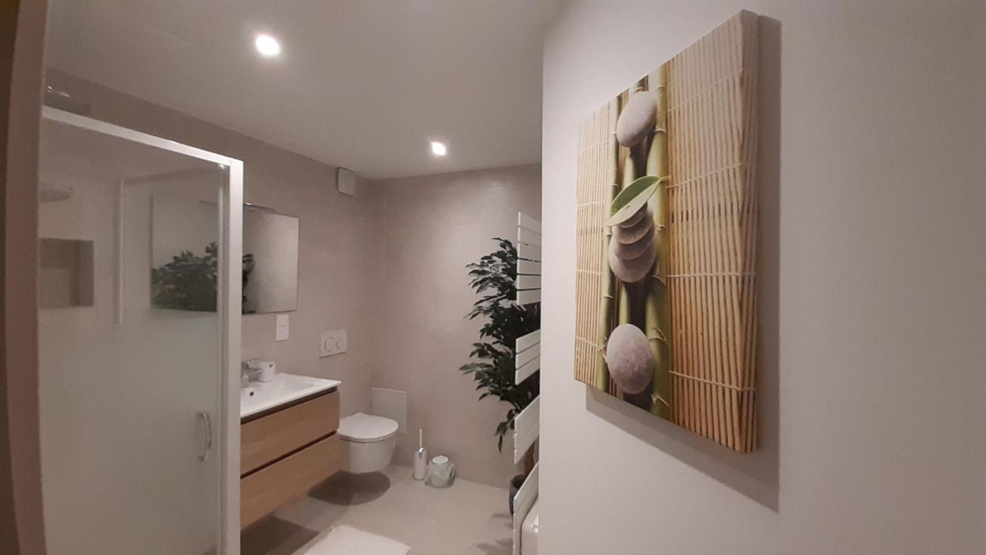 Appartement Vauban Colmar Eksteriør billede